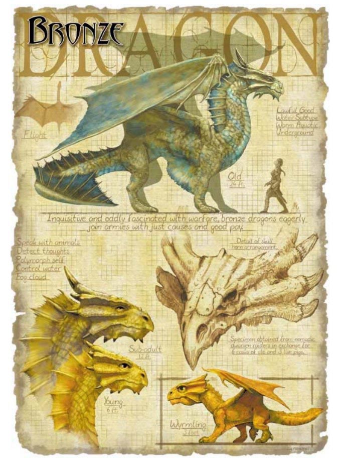 Вирмлинг бронзового дракона [Bronze dragon wyrmling] / Бестиарий D&D 5