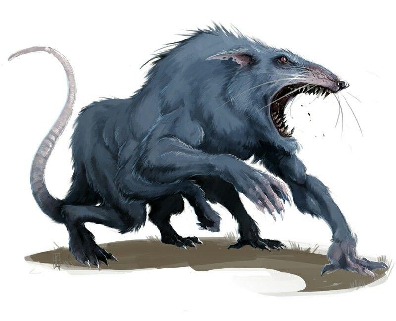 Гигантская крыса Giant rat / Бестиарий D&D 5 / Monster manual.