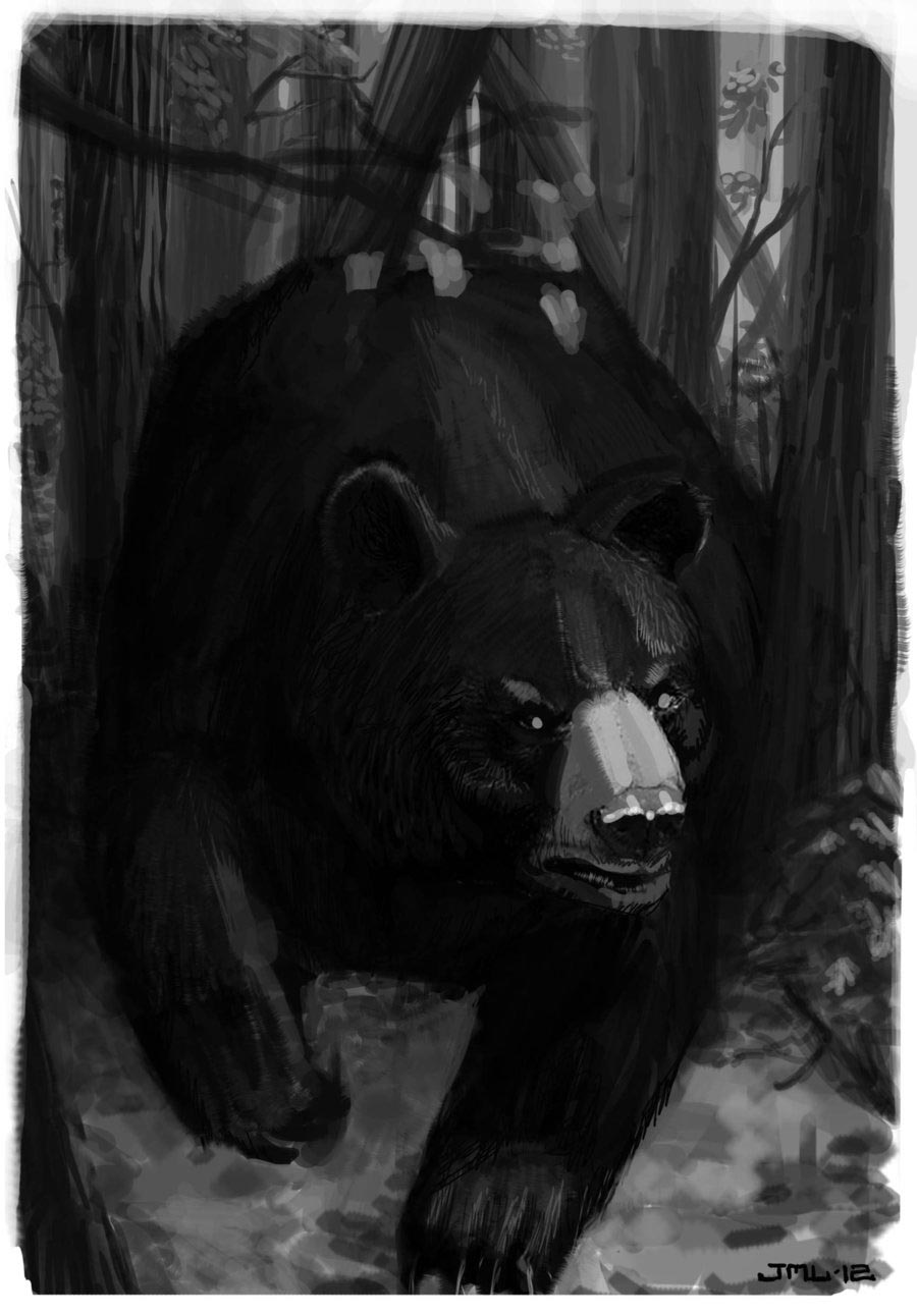 Черный медведь ДНД арт